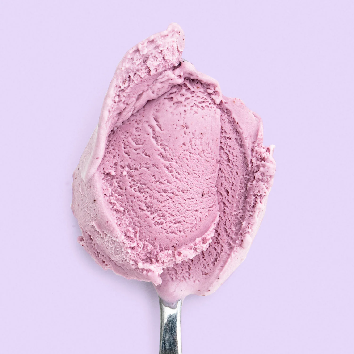 Wildberry Lavender - Image 4